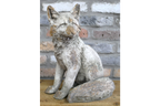 Sitting Fox