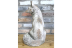 Sitting Fox