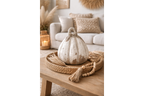 Small Pumpkin