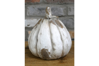 Small Pumpkin