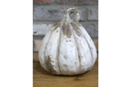 Small Pumpkin