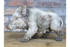 Wild Boar