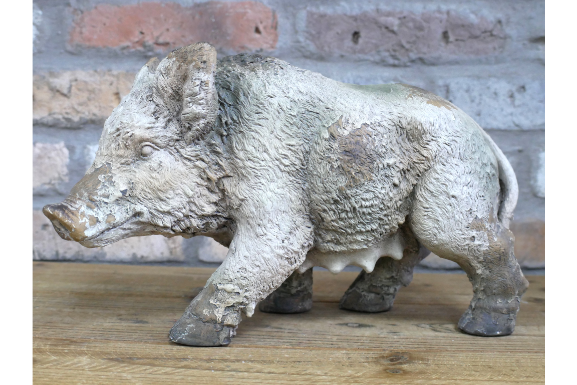 Wild Boar