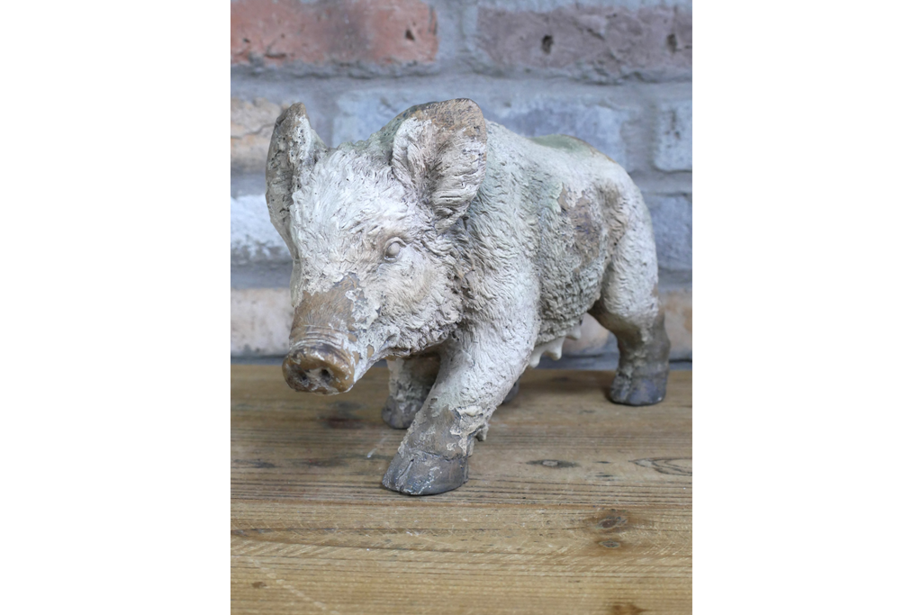 Wild Boar