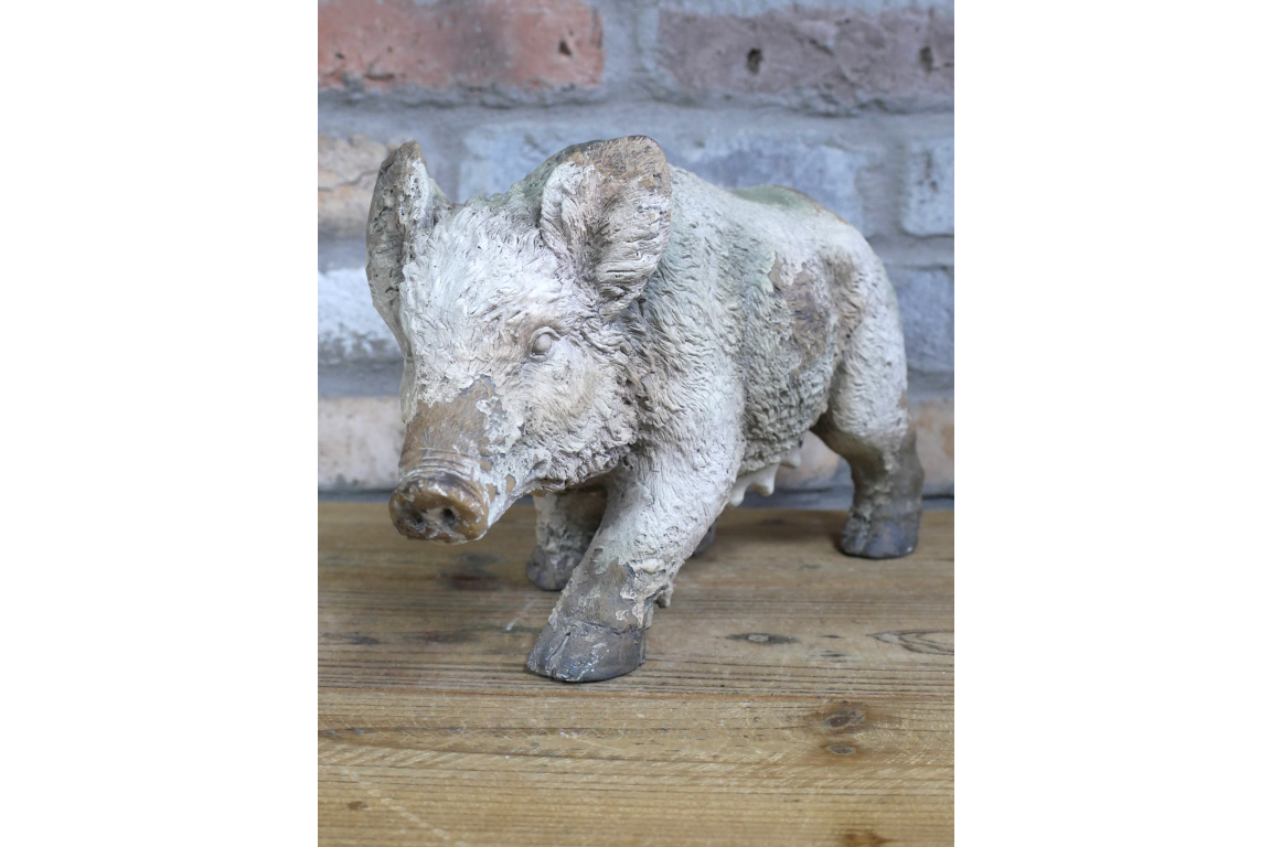 Wild Boar