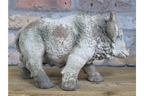 Wild Boar
