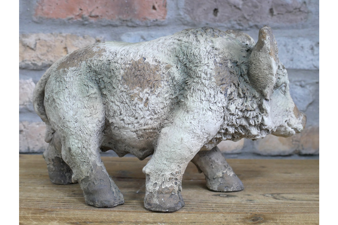 Wild Boar