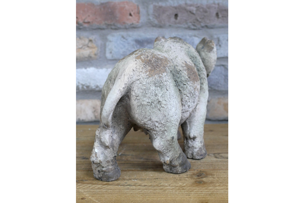 Wild Boar