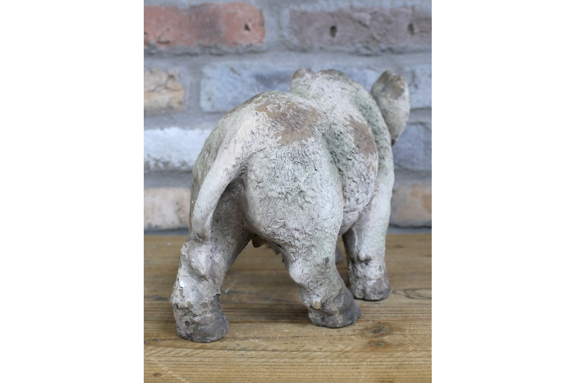 Wild Boar