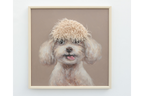 Dog with Fringe