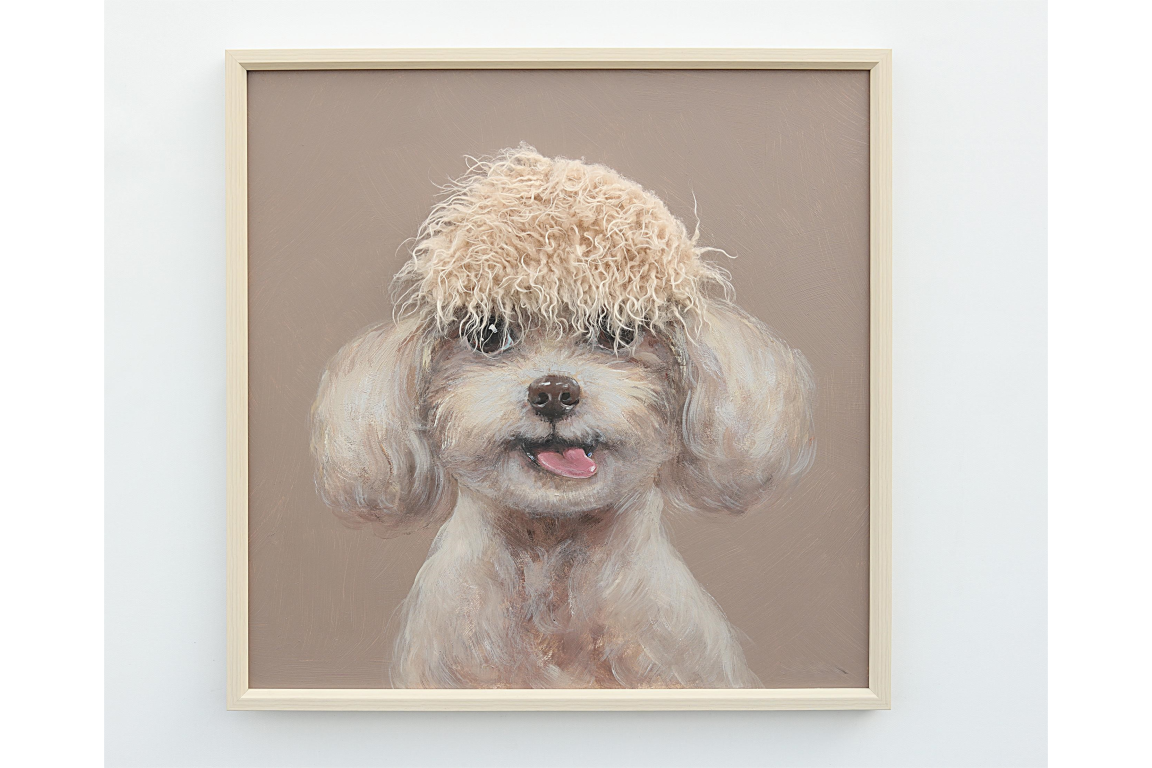 Dog with Fringe
