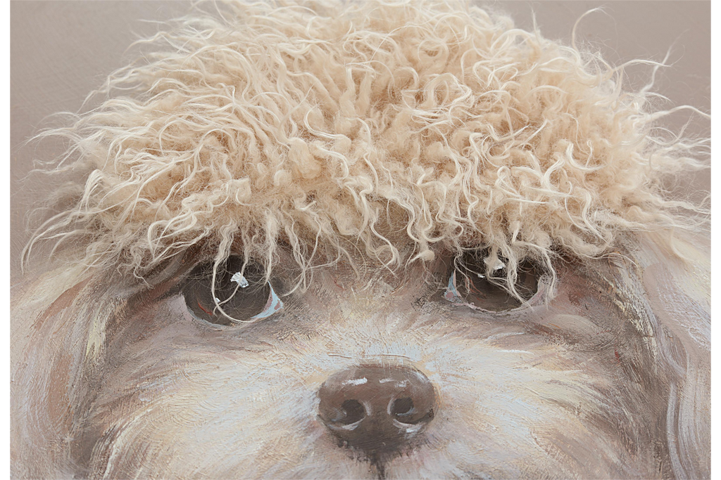 Dog with Fringe
