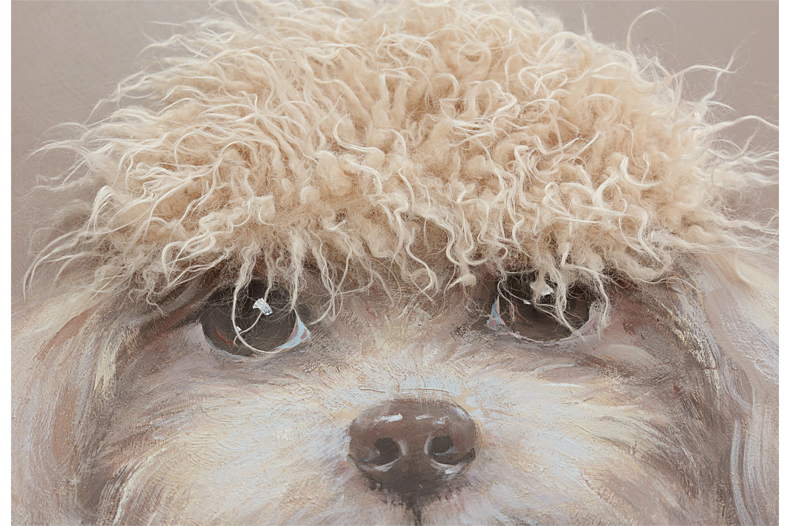 Dog with Fringe