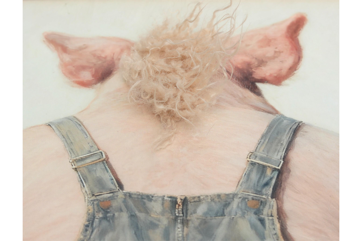 Pig with Mohawk