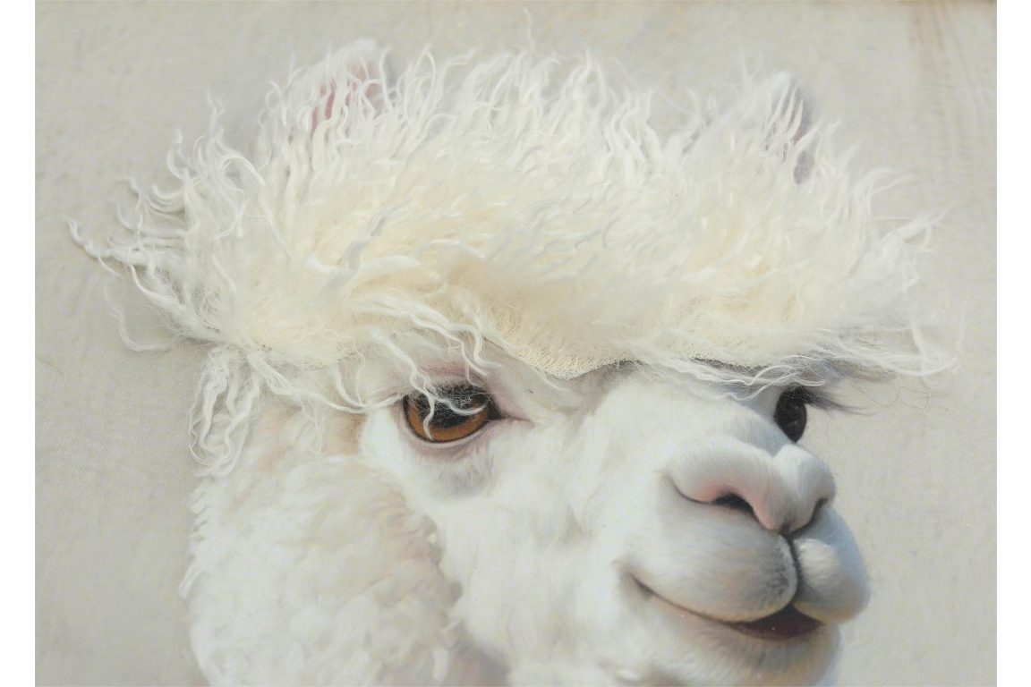 Llama with Fringe