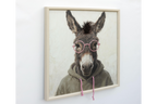 Donkey in a Hoody