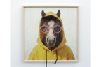 Horse in a Hoody