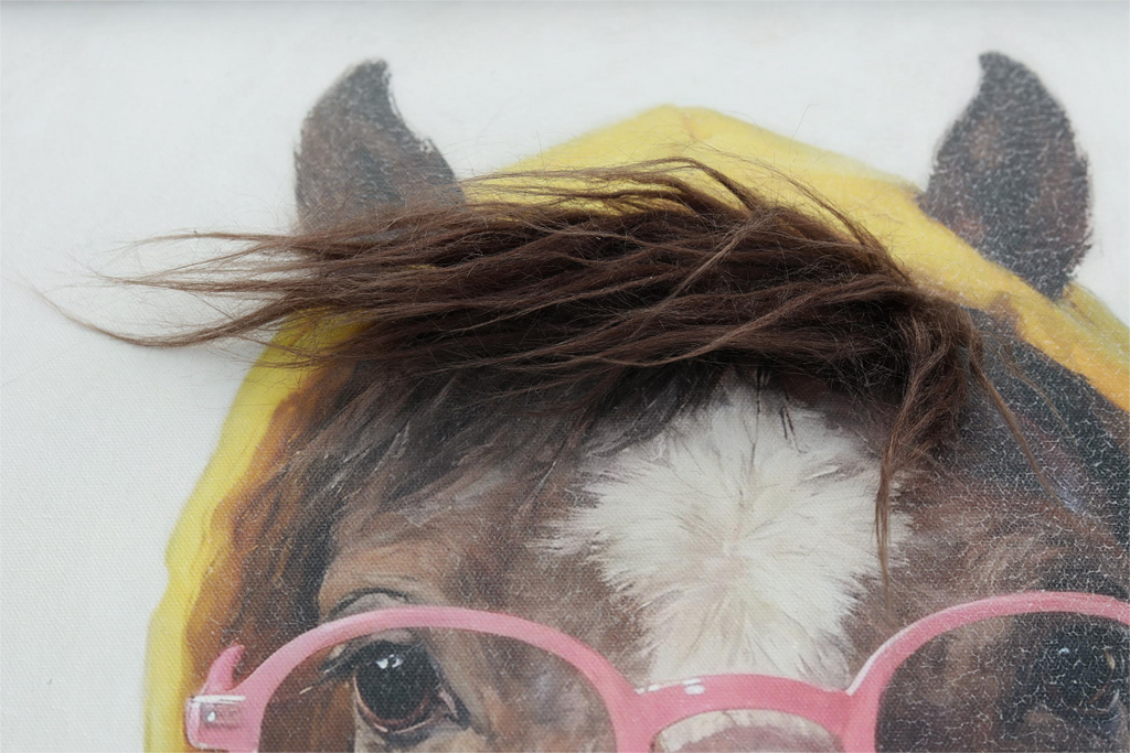 Horse in a Hoody