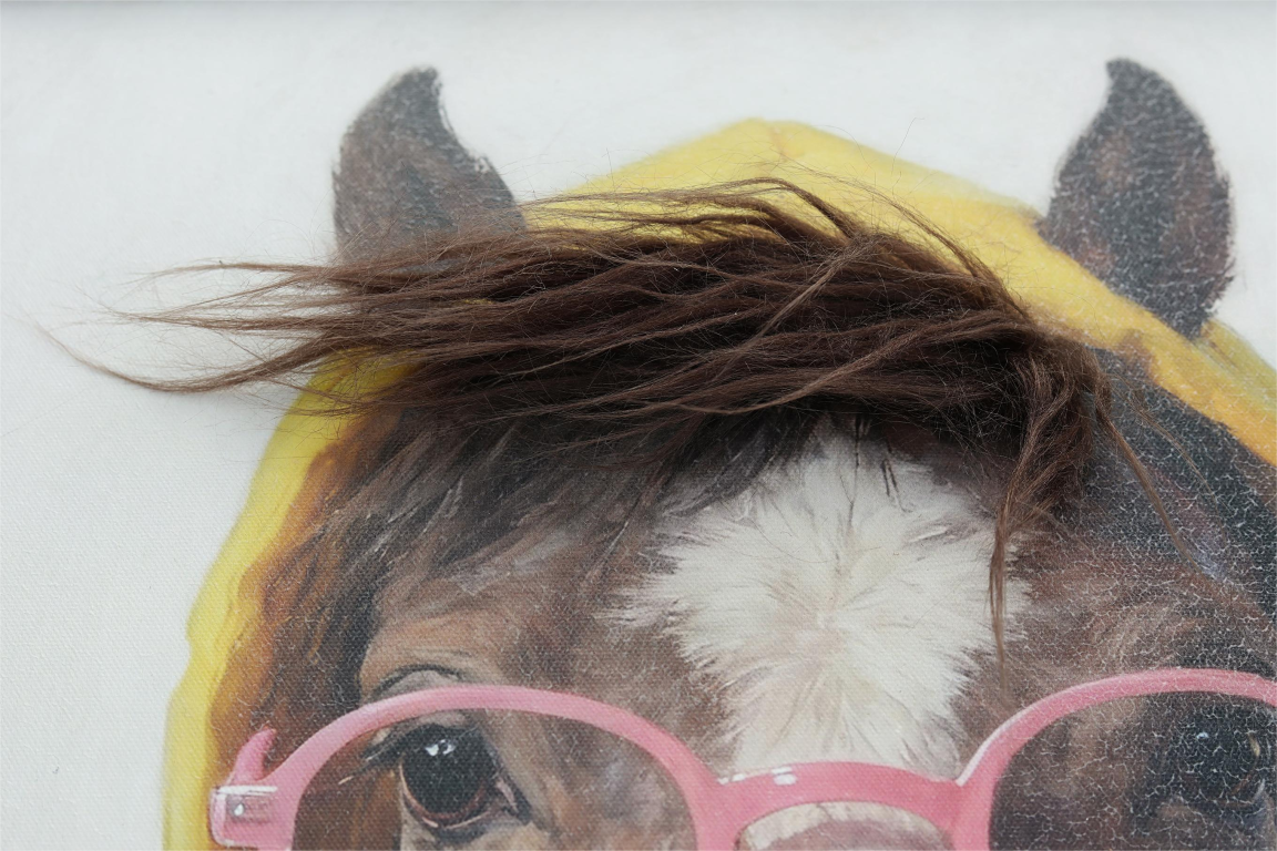 Horse in a Hoody