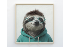 Sloth in a Hoody