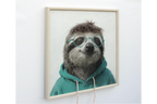 Sloth in a Hoody