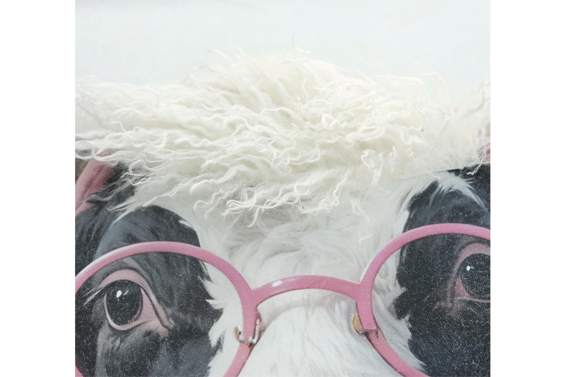 Cow in a Hoody