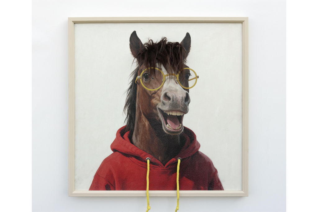 Horse in a Hoody