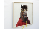 Horse in a Hoody