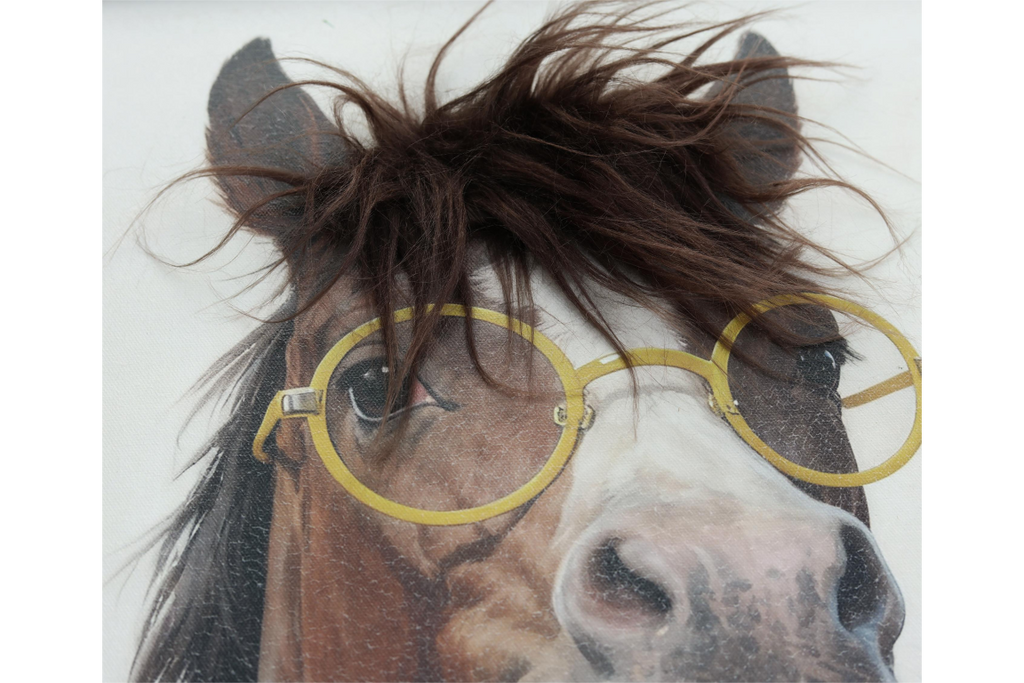 Horse in a Hoody
