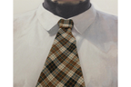 Bull in a Shirt & Tie
