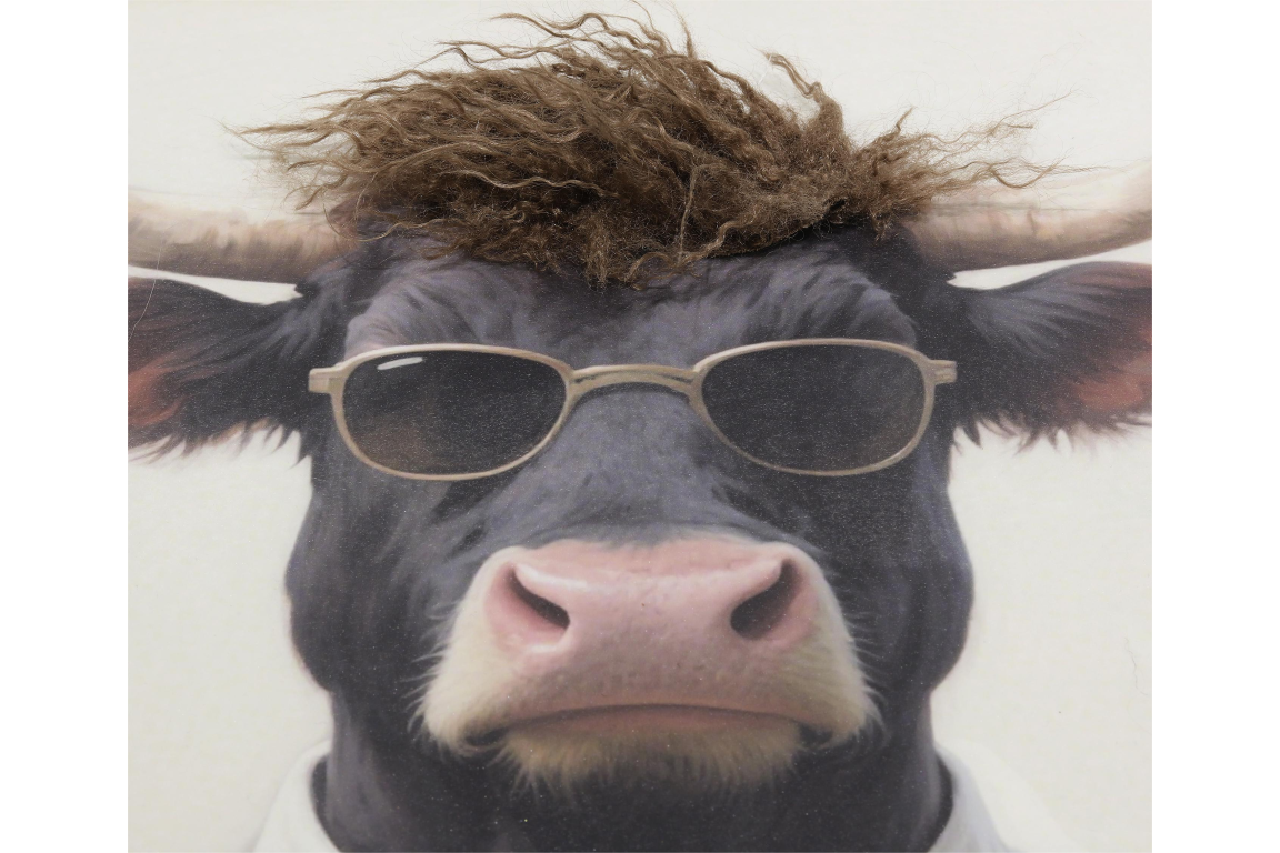Bull in a Shirt & Tie