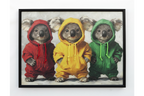 Koala's in Hoodies