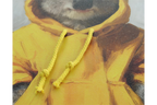 Koala's in Hoodies
