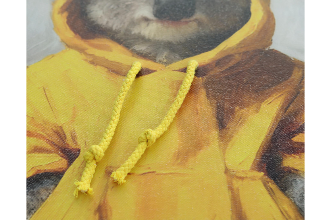 Koala's in Hoodies