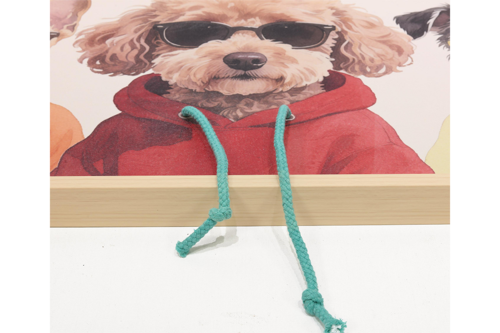 Dogs in Hoodies