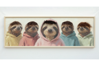 Sloth's in Hoodies