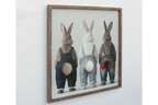Rabbits in Dungarees
