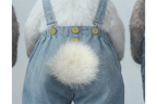 Rabbits in Dungarees
