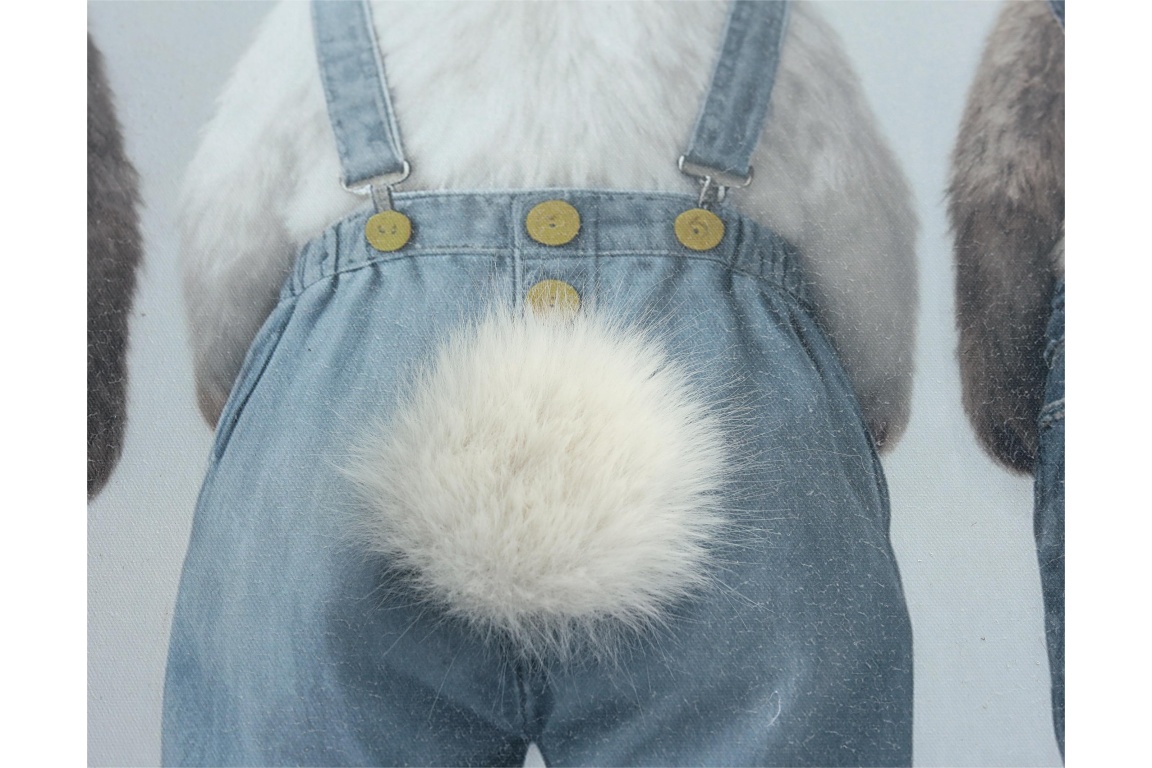 Rabbits in Dungarees