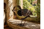 Metal Bird