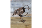 Metal Bird