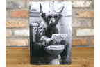 Cow on the Loo