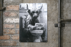 Cow on the Loo