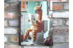 Llama on the Loo