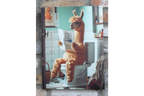 Llama on the Loo