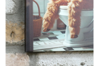 Llama on the Loo