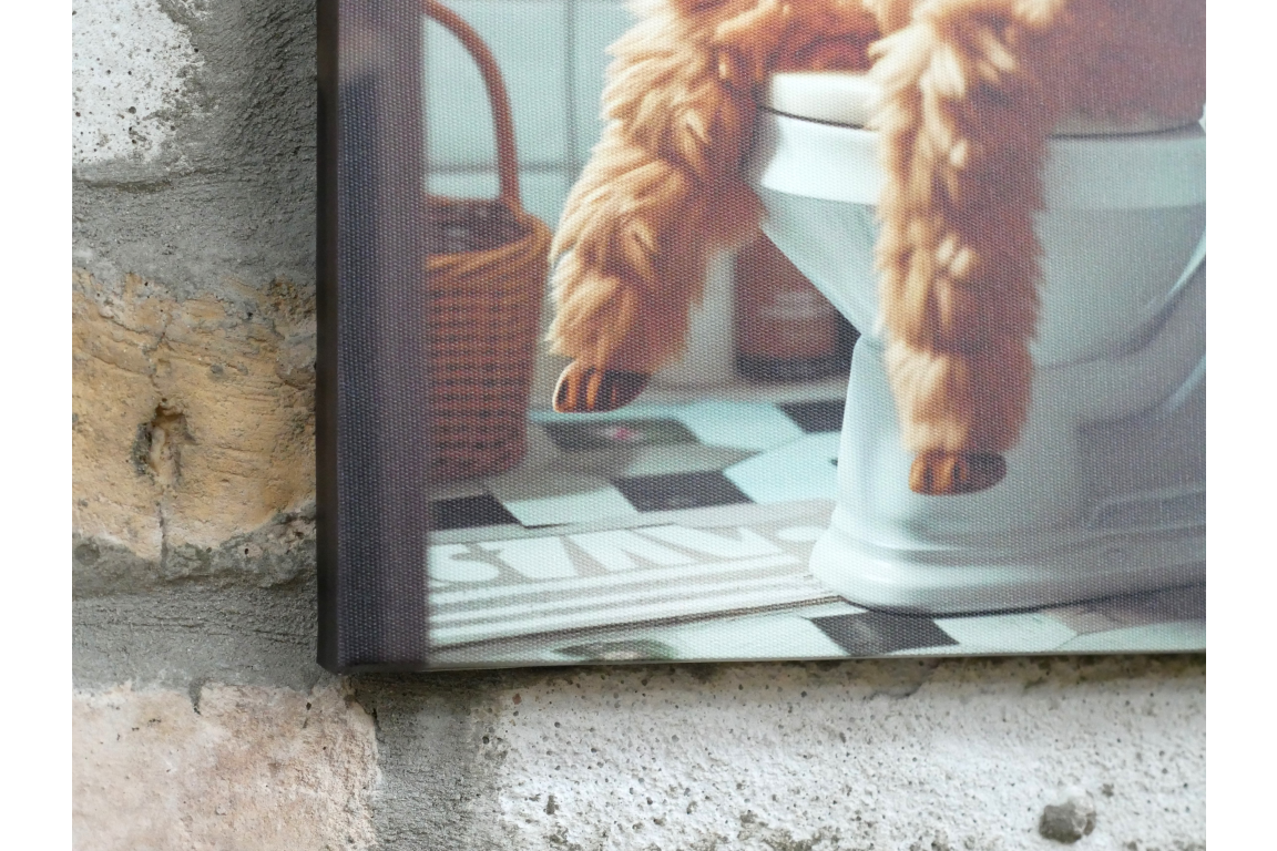 Llama on the Loo