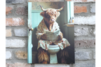 Highland Cow on the Loo