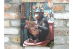 Chimp on the Loo