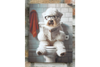 Westie on the Loo